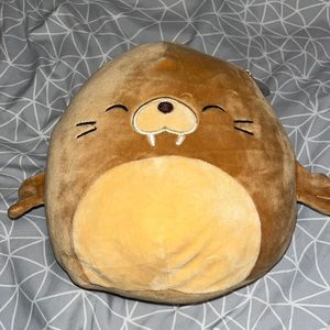 Brand New Bruce Squishmallow! Smoke free home